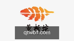 球探网比分