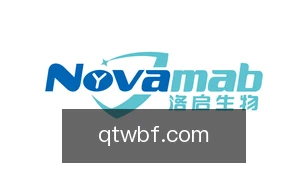 球探网比分